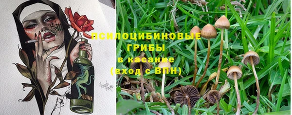 экстази Мегион