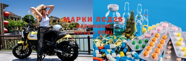 ПСИЛОЦИБИНОВЫЕ ГРИБЫ Медногорск