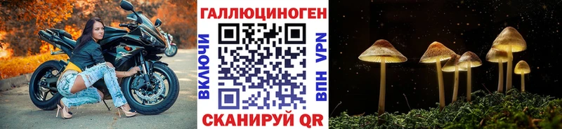 купить закладку  Терек  Псилоцибиновые грибы ЛСД 