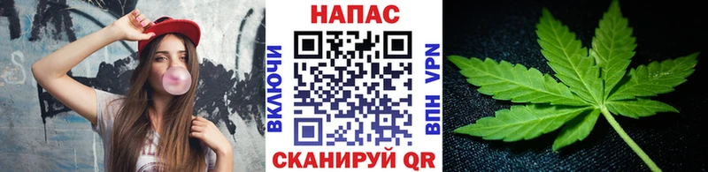 Бошки марихуана индика  Терек 